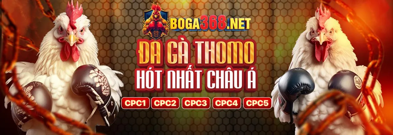 Tổng quan nền tảng cá cược OP88